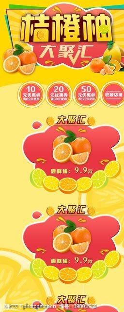 冰糖橘子桔橙柚大聚会图片