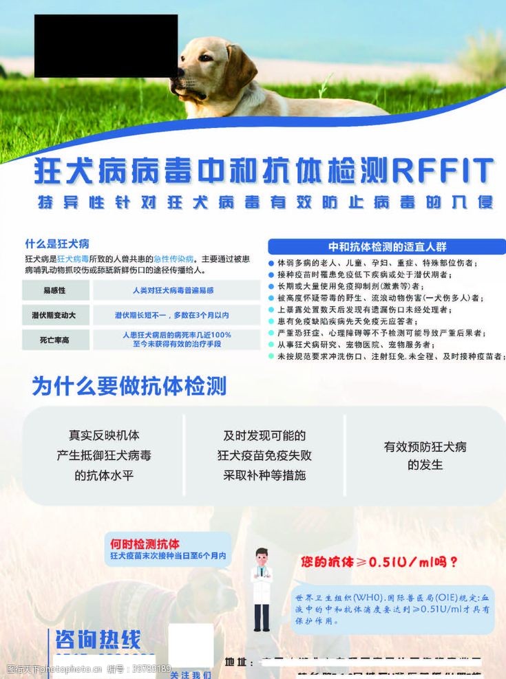 其他展板设计狂犬病图片