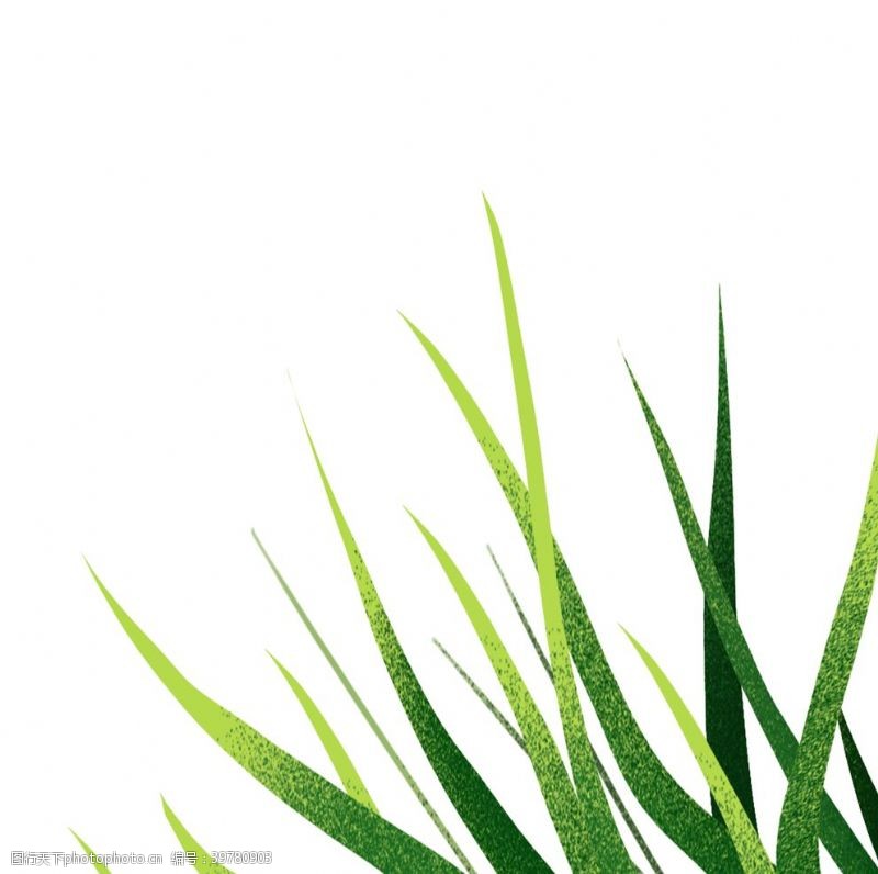 绿色植物草元素图片