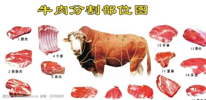 牌匾牛肉部位分割图图片