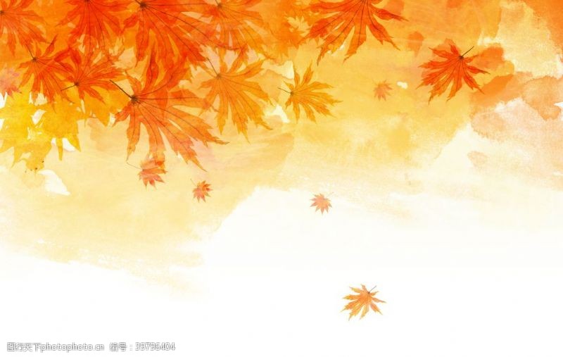 落叶背景秋天枫叶背景图片