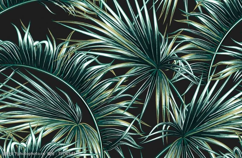 服装印花热带植物图片