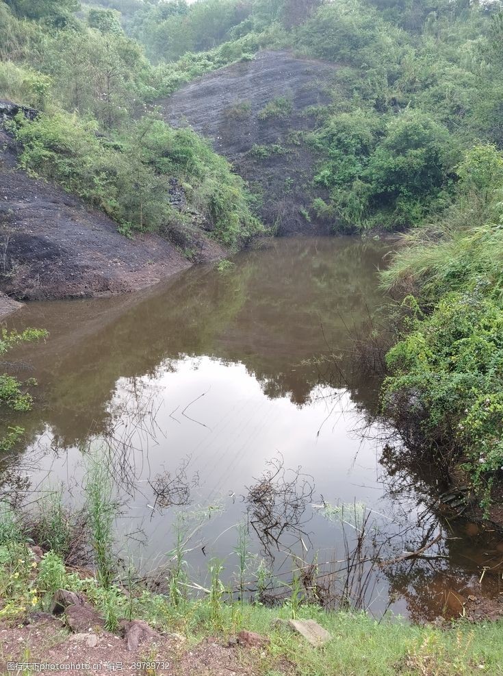 登山森林山脚的小水池图片