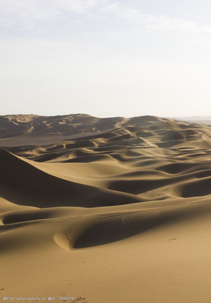 旅行社单页沙漠壮观景色图片
