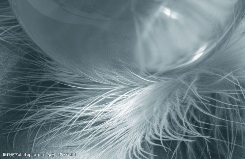 水晶球羽毛图片