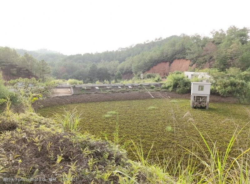 登山水库图片