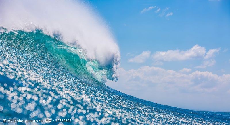 海绵水图片