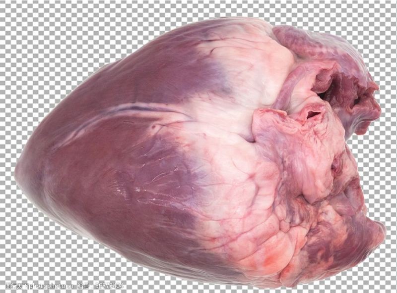 生猪肉心脏图片