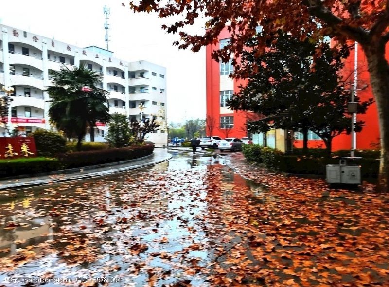 阴雨天雨天的校园风景图片