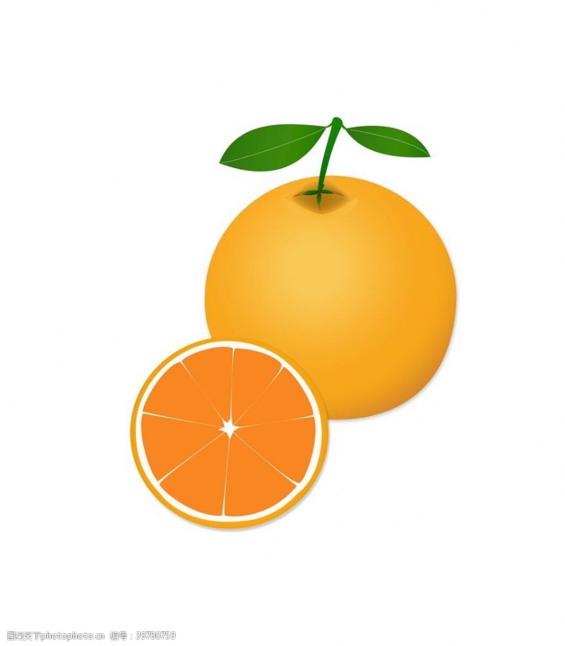 卡通橙子橙子矢量图图片