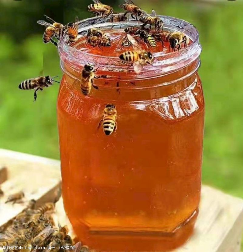 优纯蜂蜜图片