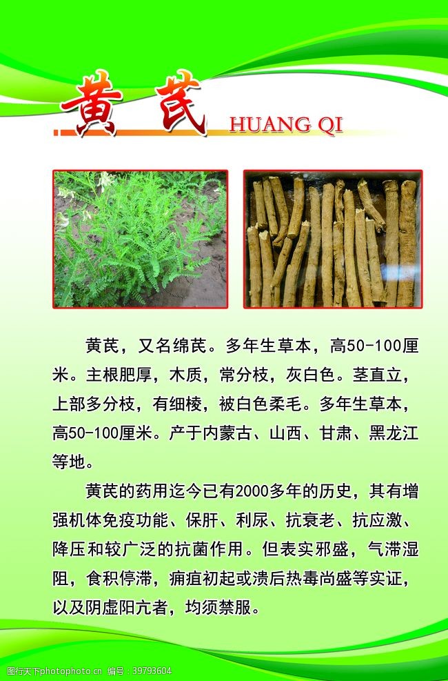 医药广告黄芪图片