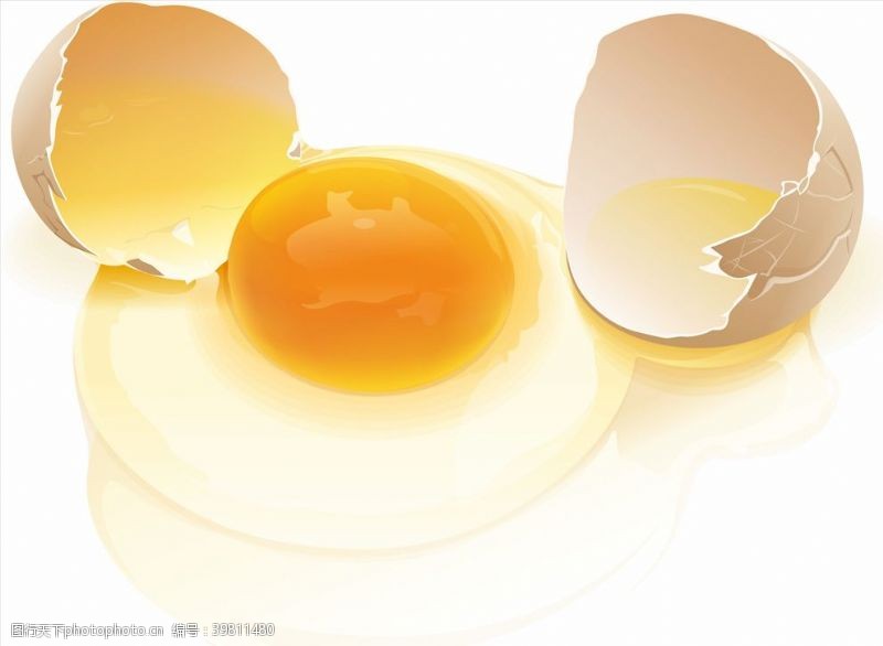鸡蛋设计鸡蛋图片