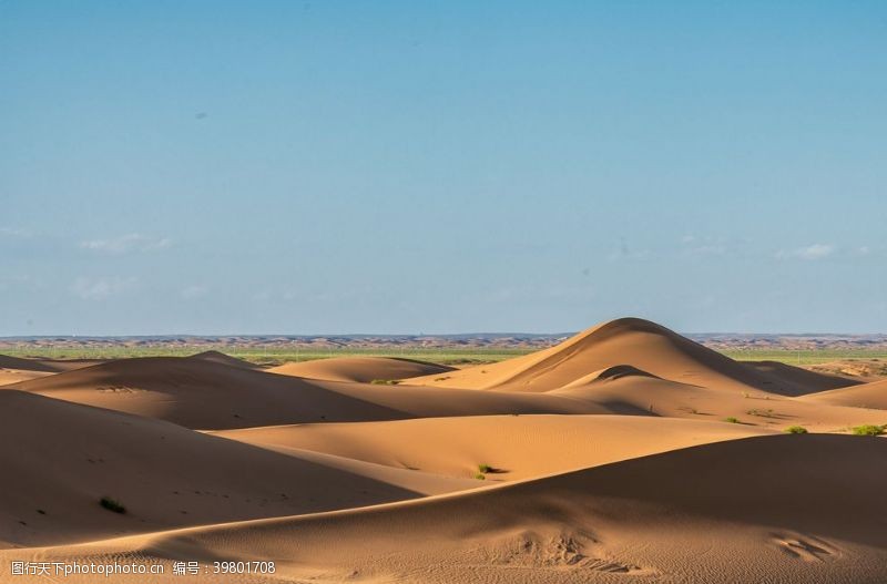 大越野金色的沙漠摄影图图片