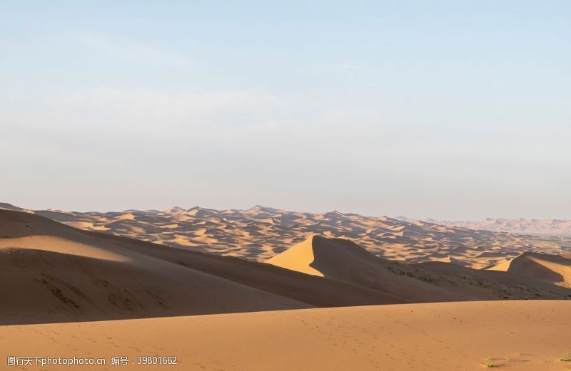 旅行社单页金色沙漠图片
