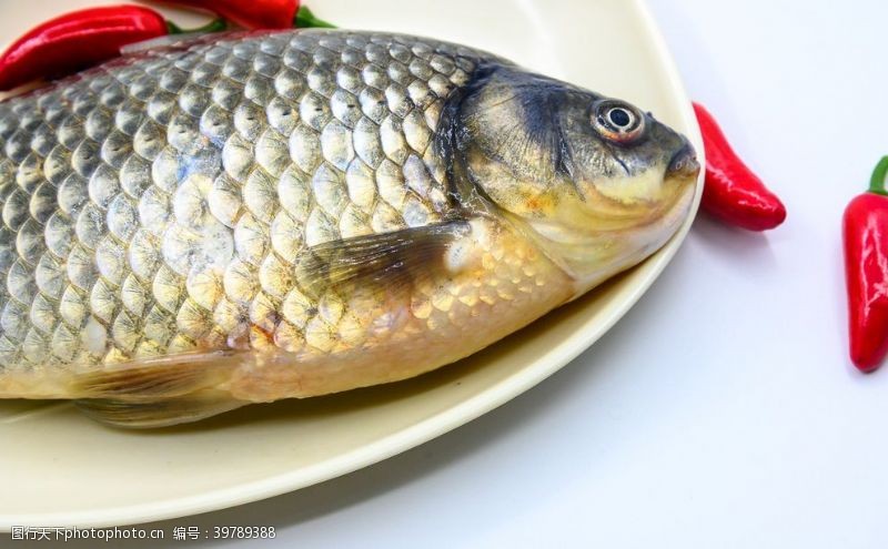 食材原料鲫鱼图片