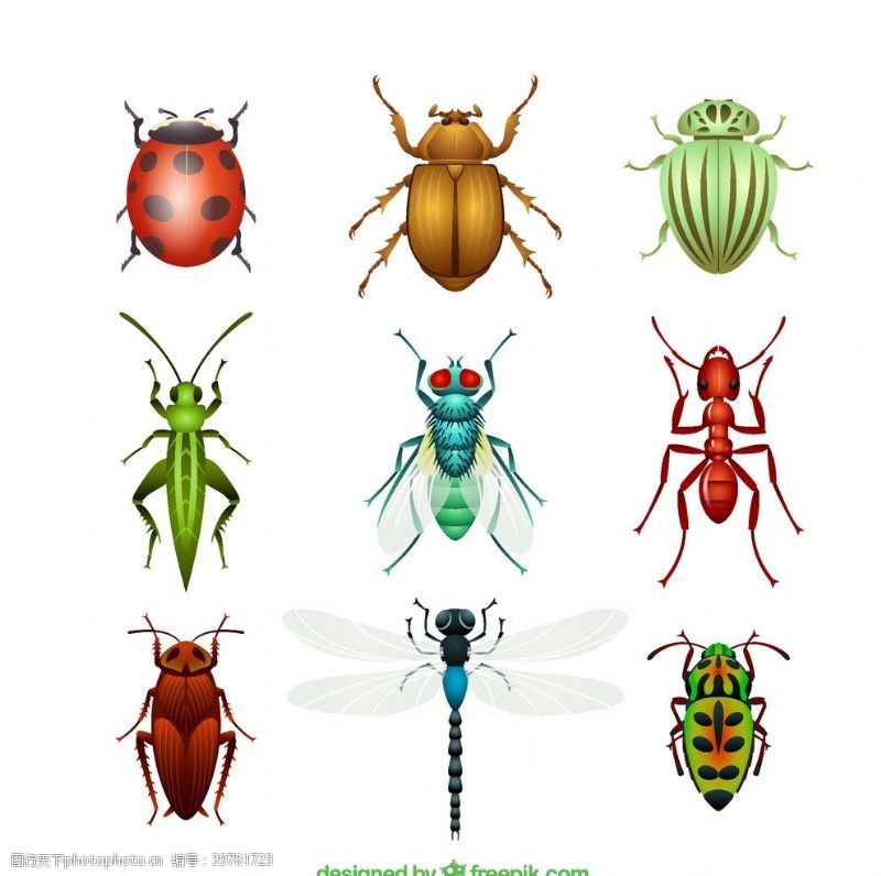 蟑螂昆虫设计矢量图片