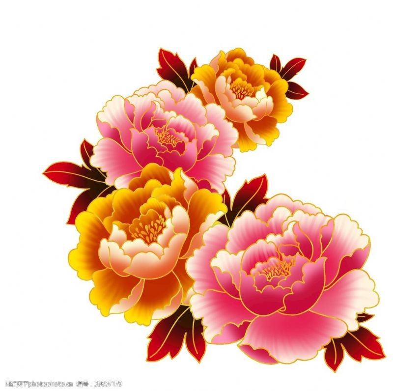 水彩玫瑰牡丹图片