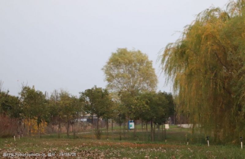 知青公园秋天的公园图片