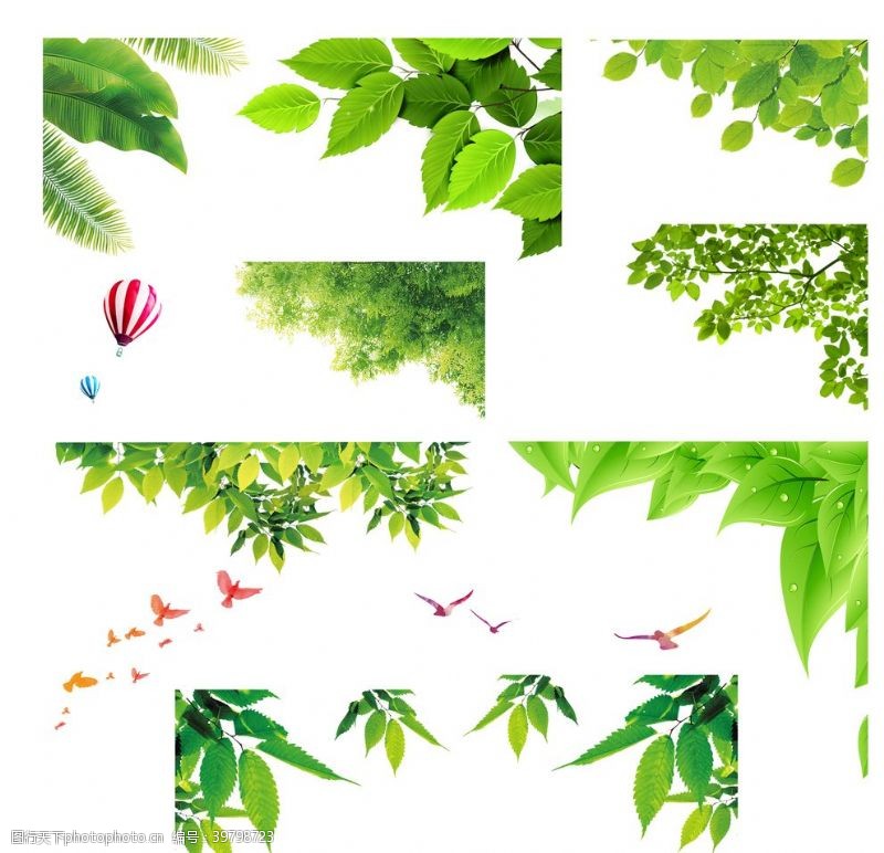 边角树叶装饰元素绿叶图片