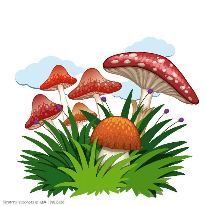 花菇鲜菇图片