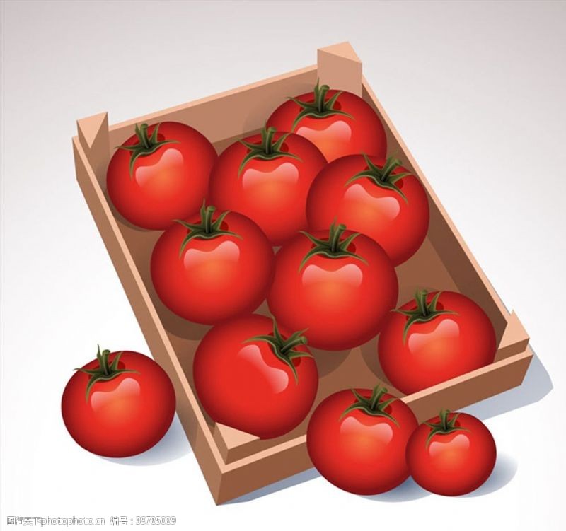 矢量西红柿西红柿矢量图片