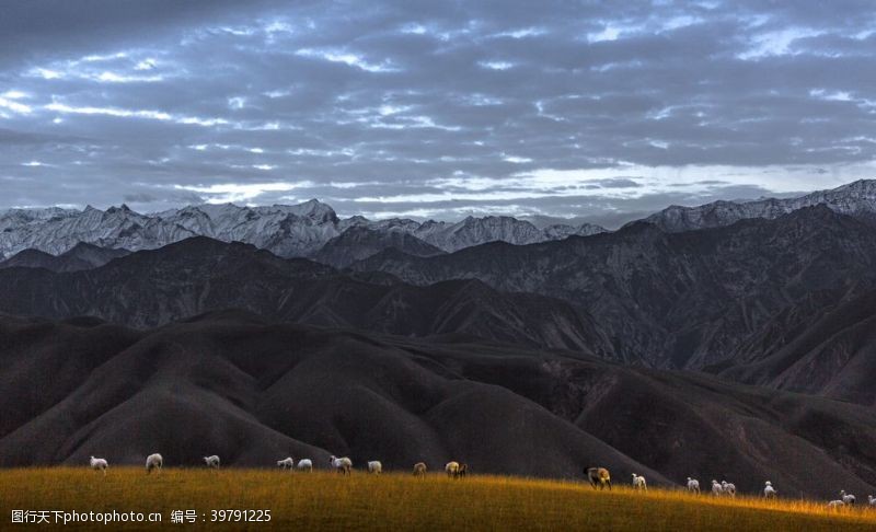 喀纳斯新疆风景图片