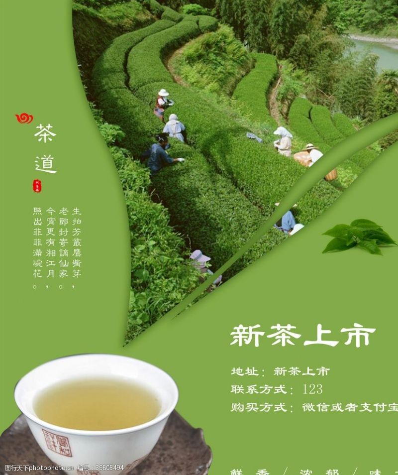 绿色茶茶图片