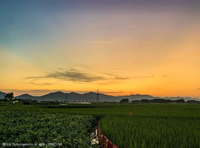 夕阳落日黄昏的稻田与山拍摄图图片