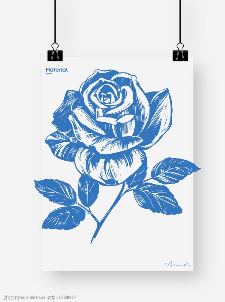 花朵线稿玫瑰图片