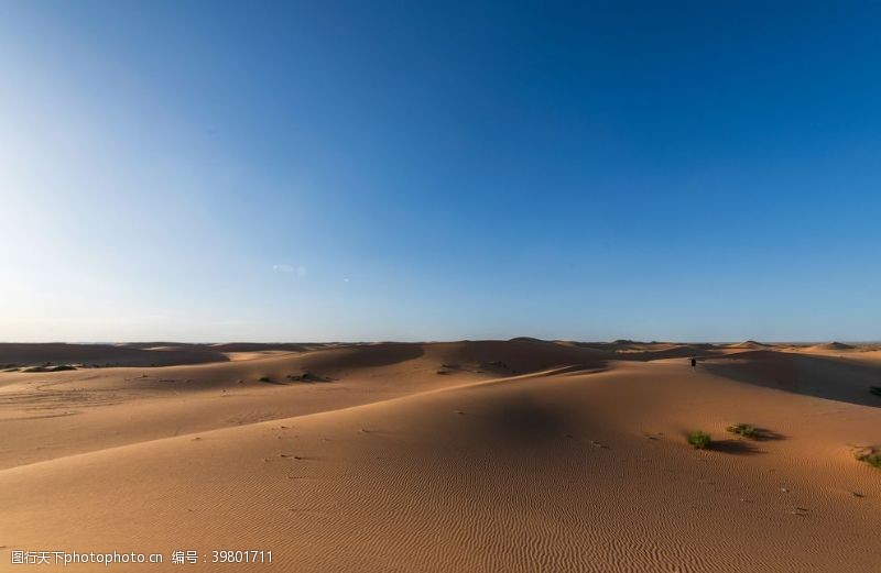 旅行社单页沙漠风情摄影图图片