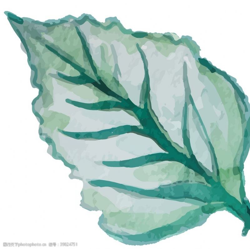 水纹树叶手绘清新植物图片