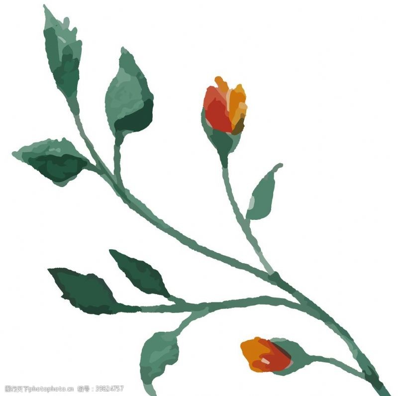 花藤手绘清新植物图片