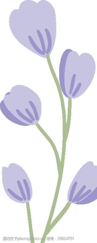 淡彩花环手绘清新植物图片