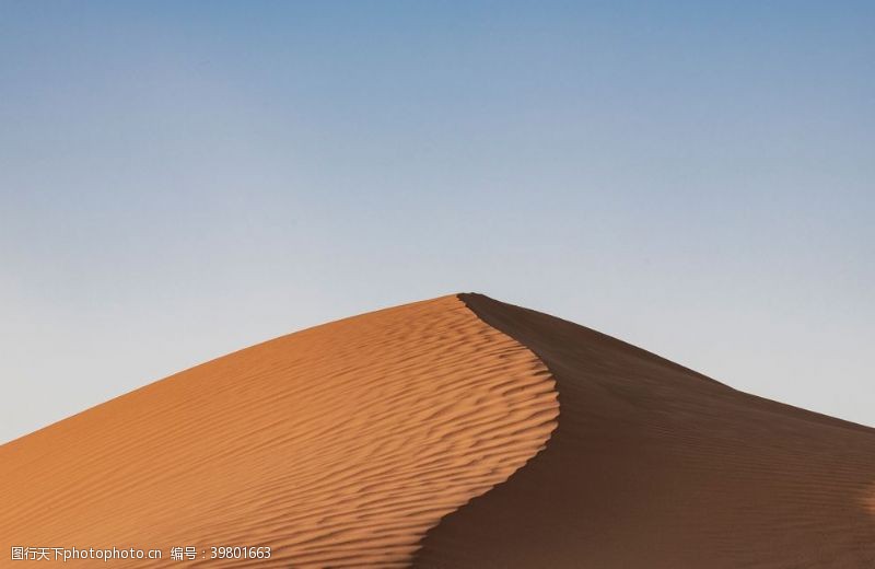 旅行社单页小山一样的沙漠图片