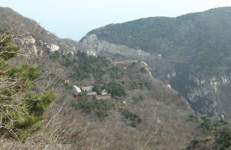 登山顶云中白鹤图片