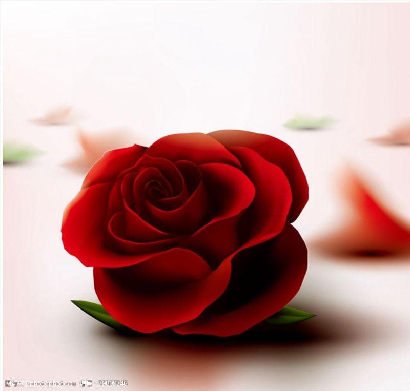 玫瑰花矢量素材质感红玫瑰花图片