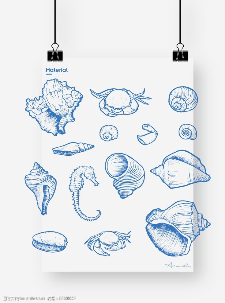 卡通贝壳图片贝壳螃蟹海马图片