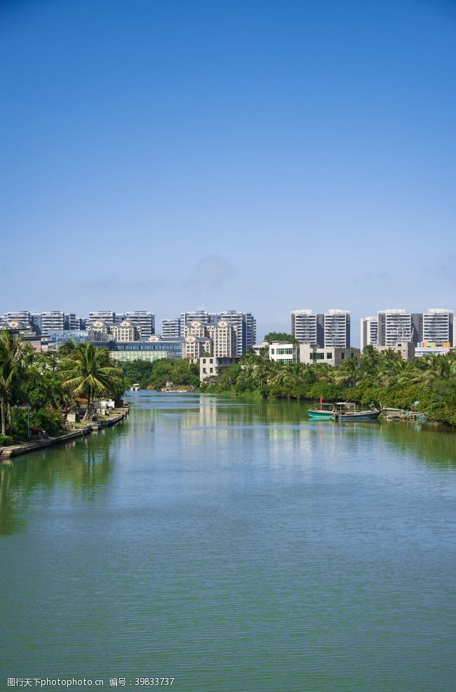 城市绿化滨江海岸图片