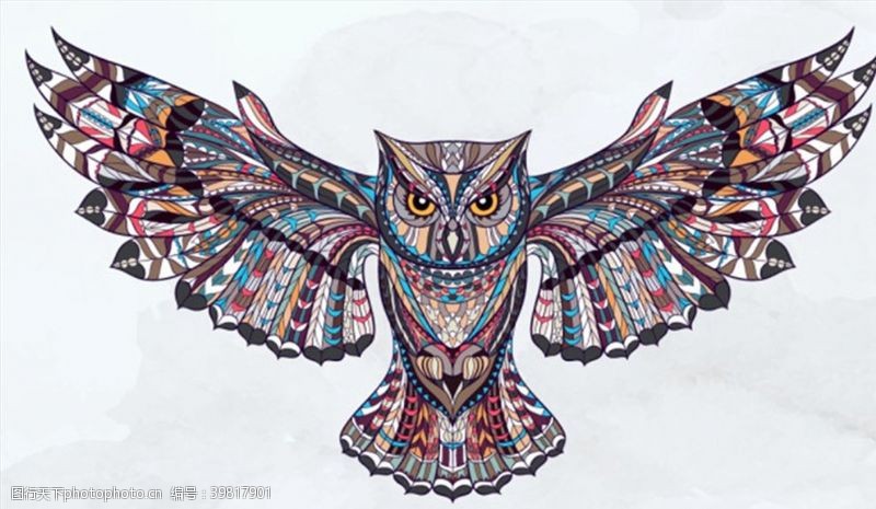 猫头鹰手绘猫头鹰纹身插画图片