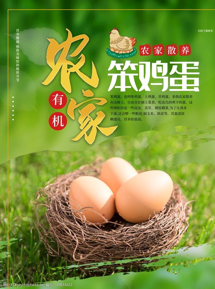 鸡蛋设计农家笨鸡蛋宣传促销海报图片