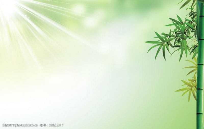 绿色清新背景板清新竹子海报背景图片