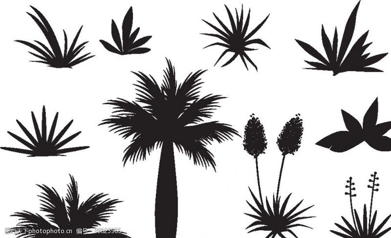 树木卡通热带植物矢量图图片