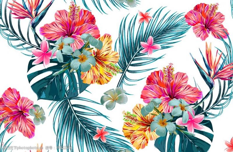 梅花手绘热带植物图片