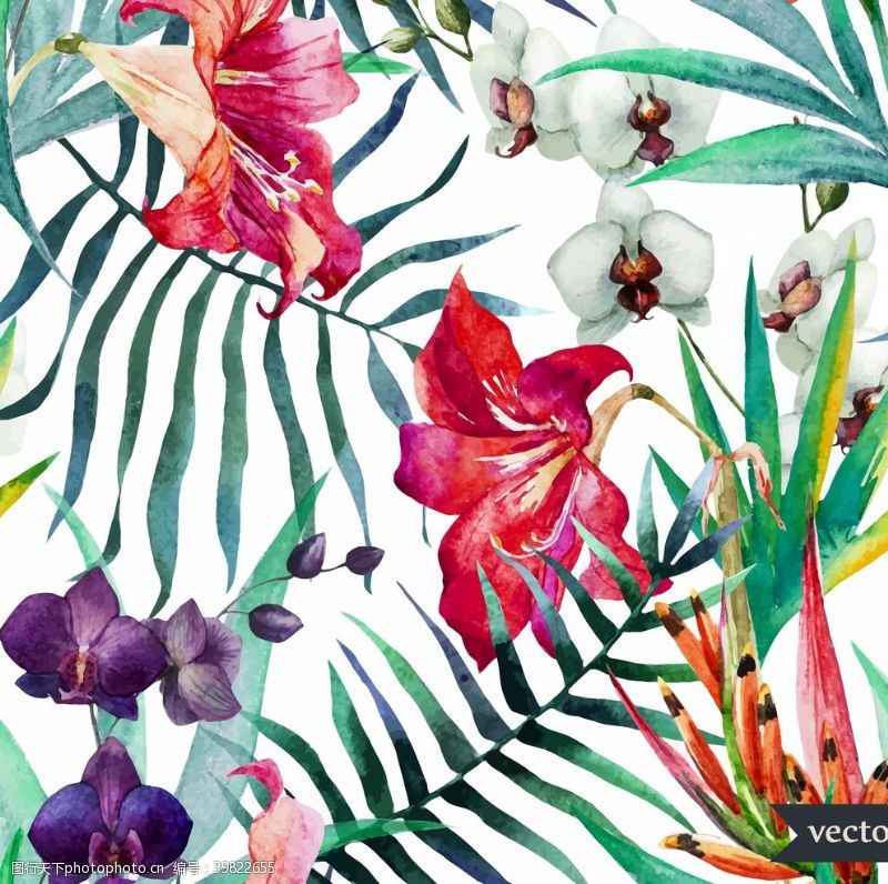 梅花手绘手绘热带植物图片