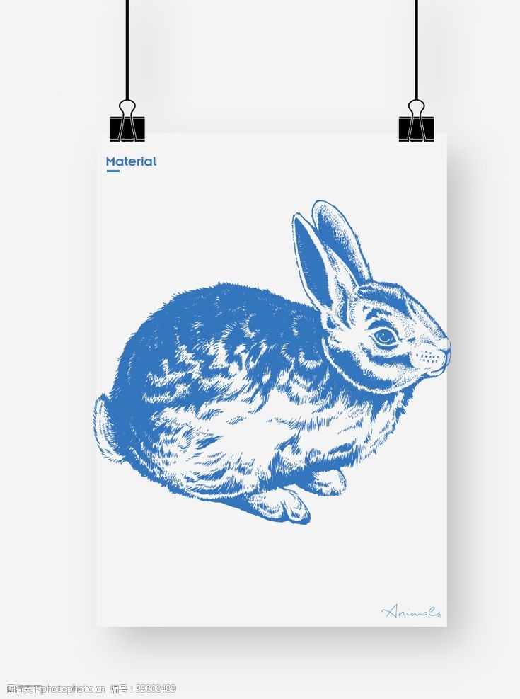手稿图案兔子图片