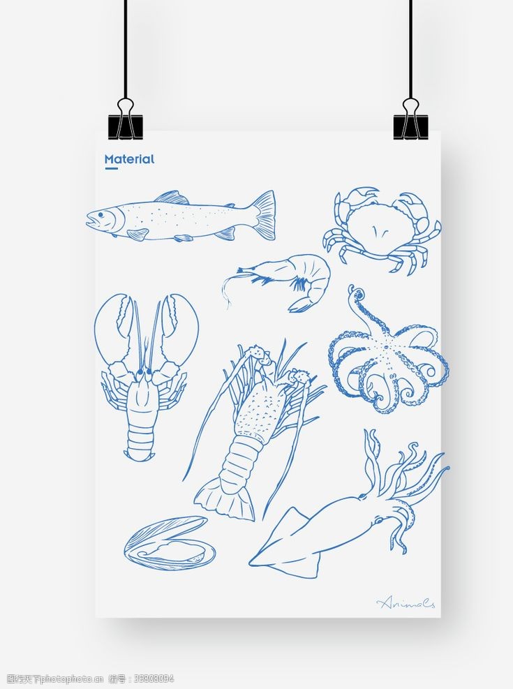 卡通贝壳图片虾螃蟹章鱼贝壳图片