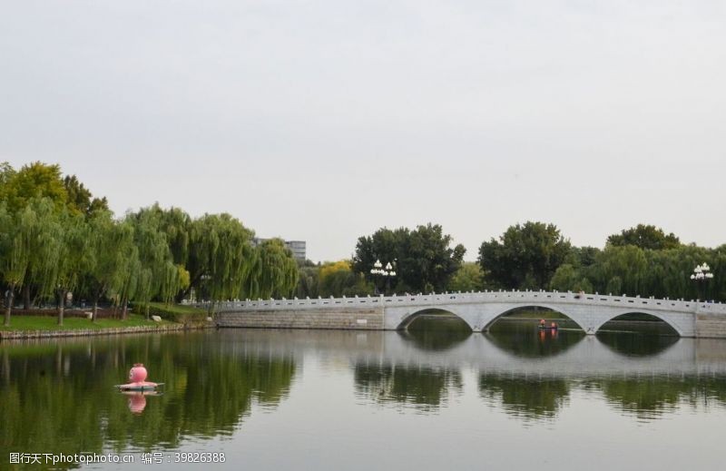 枝条园林风景图片