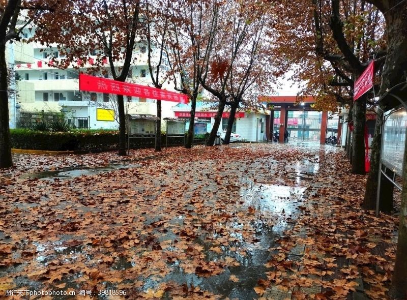 阴雨天雨天的校园图片