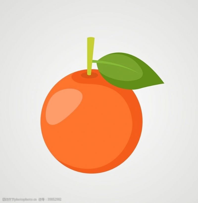 矢量水果素材橙子橘子矢量橙子图片